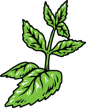 green plant leaves stem simple clip art preview