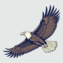 Obraz premium Eagle vector