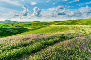 green spring valley with hills and meadows covered with fresh colorful flowers and young grass with beautiful landscape with cloudy sky on background