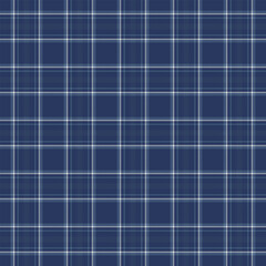 Antique plaid check vector, kid seamless tartan fabric. Windowpane textile background pattern texture in blue and gainsboro colors.