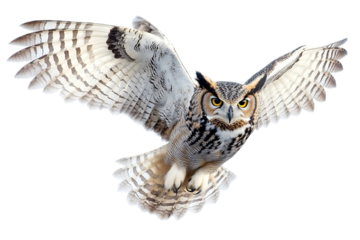 Majestic owl flying with wings spread wide, showcasing stunning plumage and sharp gaze.