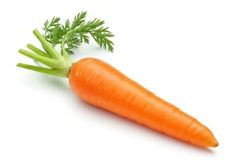 Fresh carrot with green leaves isolated on a white background in a studio shot