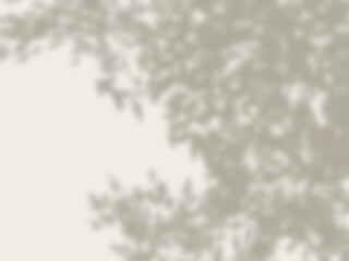 木の影が壁に映る背景