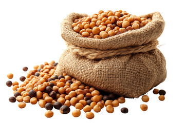 A burlap sack filled with assorted legumes, showcasing their textures and colors, perfect for culinary and agricultural themes.