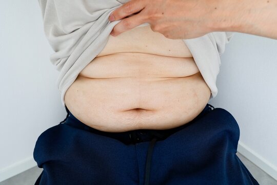 さんだんばらページ 三段腹 Images – Browse 68 Stock Photos, Vectors, and Video | Adobe