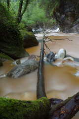 flowing water in a creek over the mountains in tuscany