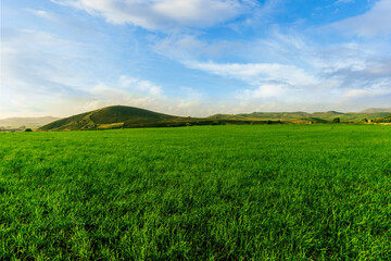 Naklejka premium green landscape of spring field with green young grass and amazing hills on background