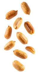 Obraz premium Toasted peanuts falling on transparent background