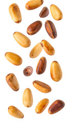 Obraz premium Multiple toasted pine nuts levitating on transparent background