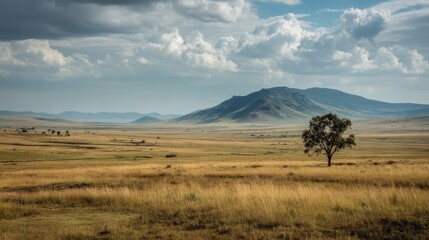 Endless Savannah Landscape Stretching to the Horizon under Cloudy Sky