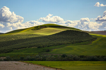 Golden Light Over Andaluc&iacute;a &ndash; A Timeless Spanish Landscape