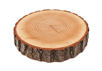 Wood Slice Photo Tree Trunk Section on White Isolated Background
