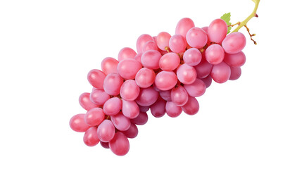 A bunch of pink grapes hanging with a stem on a black background in a close up studio shot image