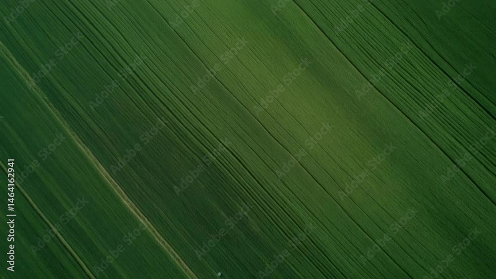 Poster aerial landscape revealing geometric green crop rows stretching across agricultural terrain, showcas