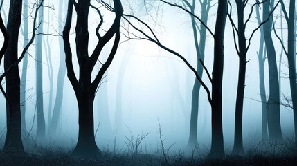 Obraz premium Misty fog blankets the cold winter woods, creating a serene nature landscape with trees fading into the white mist