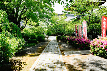 Scenery of Kyoto, Japan