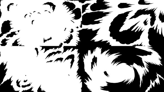 Anime Cartoon Universal Transition Pack