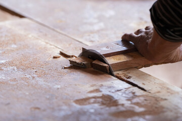Sawing wood in a wood factory