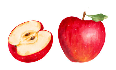 Red whole apple with half. Watercolor and marker illustration. Hand drawn isolated art. Clip art of botanical natural food fruits for food packaging, juice, jam. Harvesting. Production