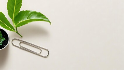 Climate action policy transition concept with a paper clip holding a green leaf on a light background, symbolizing office and nature integration.