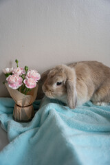 Fototapete bei efototapeten.de bestellen   