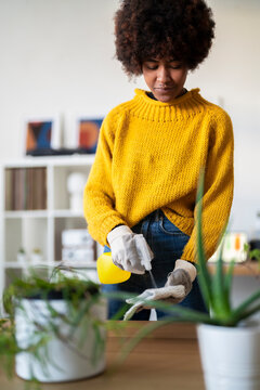 A woman in a yellow sweater is spraying her indoor plants with a yellow spray bottle. She is wearing gloves and caring for her plants.