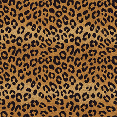 leopard print, leopard pattern, skin leopard, leopard, leopard pattern, leopard texture, leopard skin, fur, leopard print, leopard cheetah, leopard fabric, wild, cat, tiger, leopard seamless, safari, 