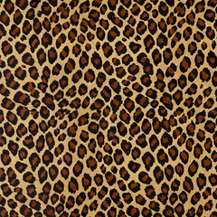 leopard print, leopard pattern, skin leopard, leopard, leopard pattern, leopard texture, leopard skin, fur, leopard print, leopard cheetah, leopard fabric, wild, cat, tiger, leopard seamless, safari, 