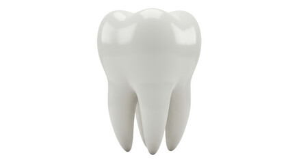 Isolated Human Tooth