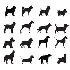 A vector illustration shows a black set of dog silhouettes, a collection of domestic animal and pet shapes
