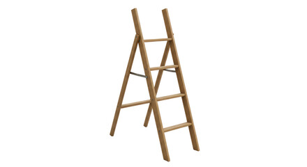 Isolated Wooden Ladder