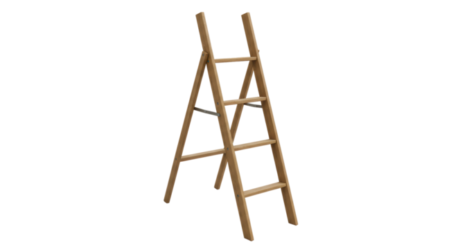 Isolated Wooden Ladder