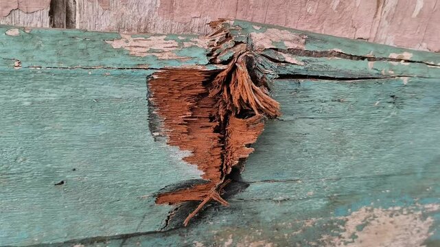 torn wooden planks