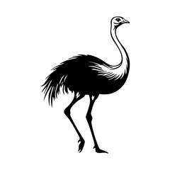 Obraz premium Stylish Ostrich Silhouette: Elegant silhouette of an ostrich, a symbol of freedom and nature's artistry, presented in a clean, graphic style.