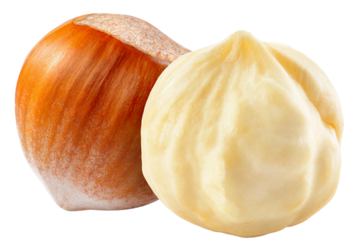 Hazelnut isolated png. Peeled and unpeeled hazelnut on white or transparent background. Perfect retouched two forest filbert nut no background. Transparent png. Full depth of field.