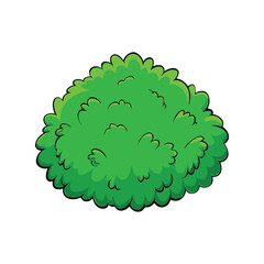 Green moss vector illustration. realistic moss texture, natural ground plant, forest greenery, botanical surface detail