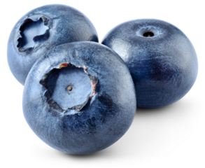 Blueberry isolated png. Blueberry on white or transparent background. Perfect retouched three blueberries no background. Png blueberry with transparent shadow. Full depth of field.