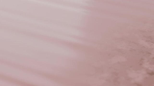 Anti-melasma serum absorbs to reduce freckles and firm skin