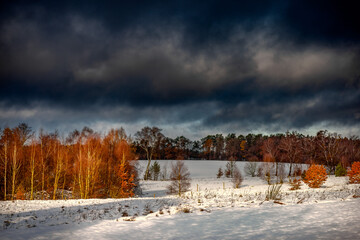 Zamarznięte ośnieżone pole. Pomorze zachodnie