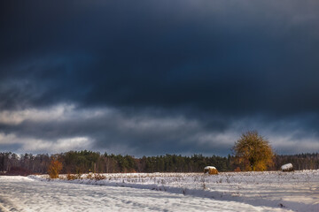 Zamarznięte ośnieżone pole. Pomorze zachodnie