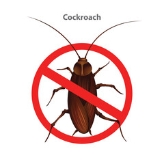 No Cockroach sign. A warning sign indicating the prohibition of a Cockroach.