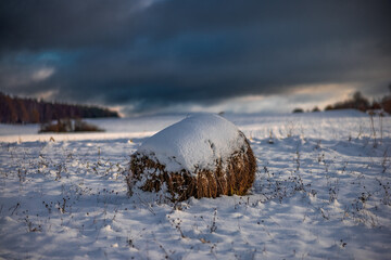 Zamarznięte ośnieżone pole. Pomorze zachodnie