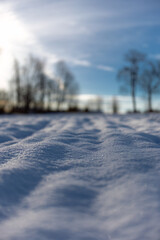 Zamarznięte ośnieżone pole. Pomorze zachodnie