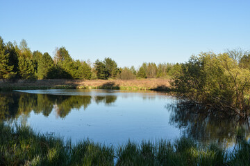 Obraz premium Forest lake in May.