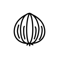 illustration of a onion