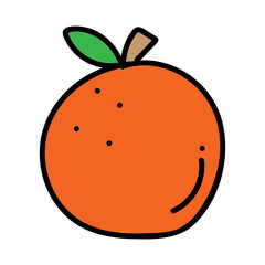 orange fruit vector illustrator 