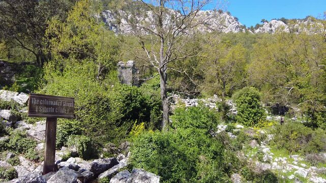 4K Ruins of ancient colonnaded street in the abandoned city of Termessos, Taurus Mountains (Gulluk Mountain) near Antalya, Turkey