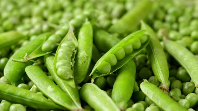 fresh green peas texture background
