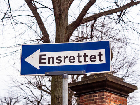 Ensrettet