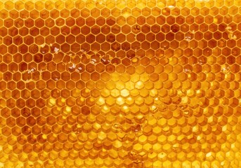 Close-up of golden honeycomb filled with honey, showing the hexagonal structure and natural sweetness